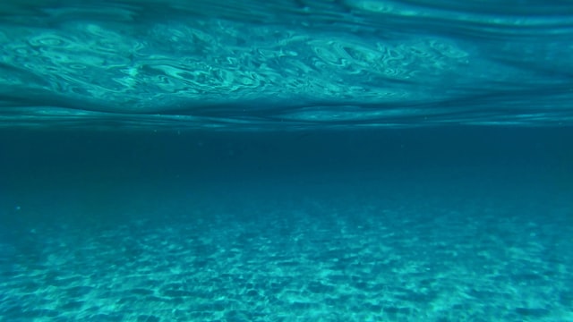 Klimawandel: Fachgesellschaften aquatischer Ökosystemforschung aus der ganzen Welt rufen zu sofortigem Handeln auf