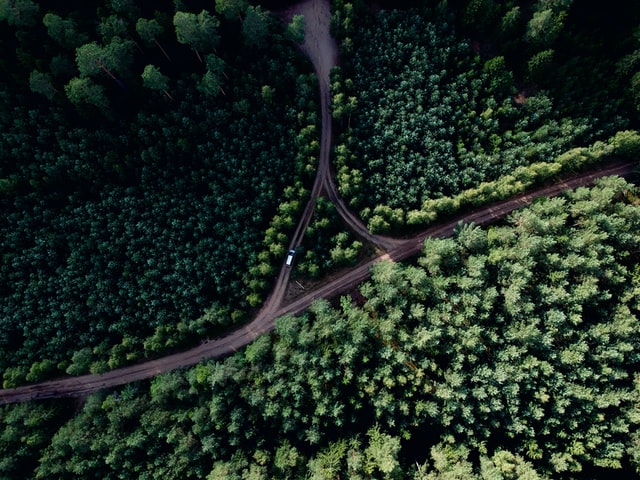 Studie in Norddeutschland: Forstwirtschaft hat in den Extremsommern zur Erwärmung der Wälder beigetragen